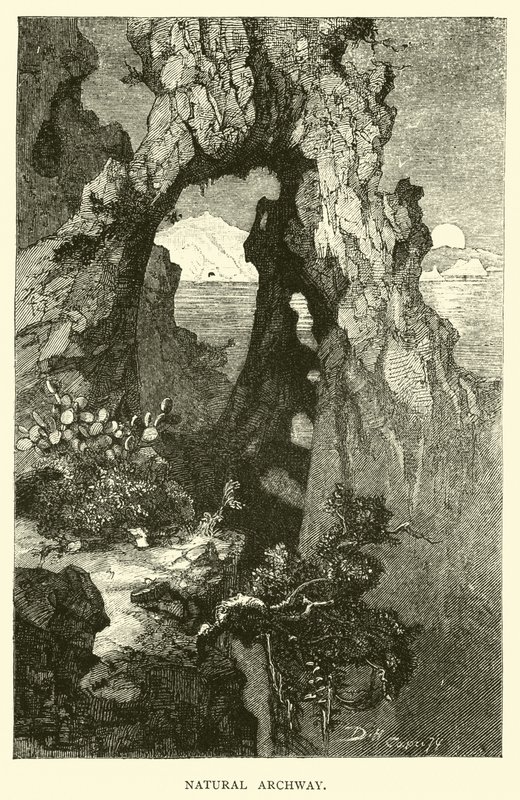 Arco Natural de English School