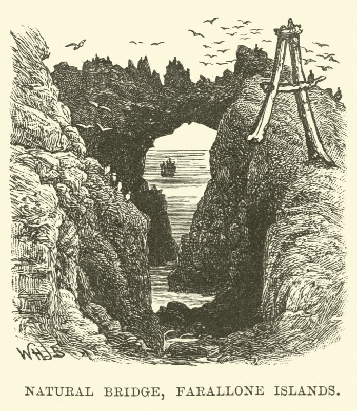 Ponte Natural, Ilhas Farallone de English School