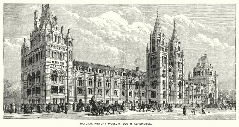 Museu de História Natural, South Kensington (gravura) de English School