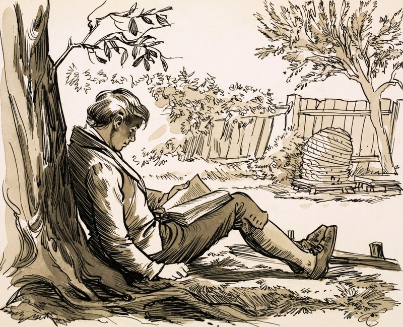 O naturalista David Douglas foi inspirado a explorar lendo Robinson Crusoe de English School