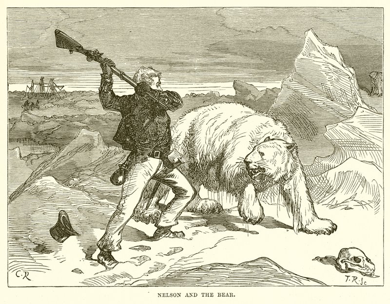 Nelson e o Urso de English School