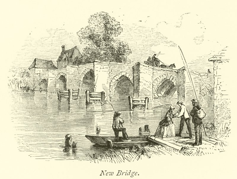 Nova ponte de English School