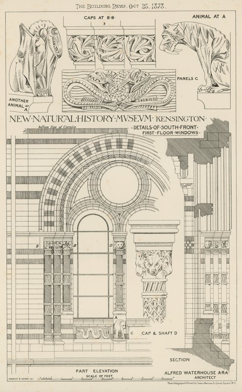 Novo Museu de História Natural, South Kensington, Londres de English School