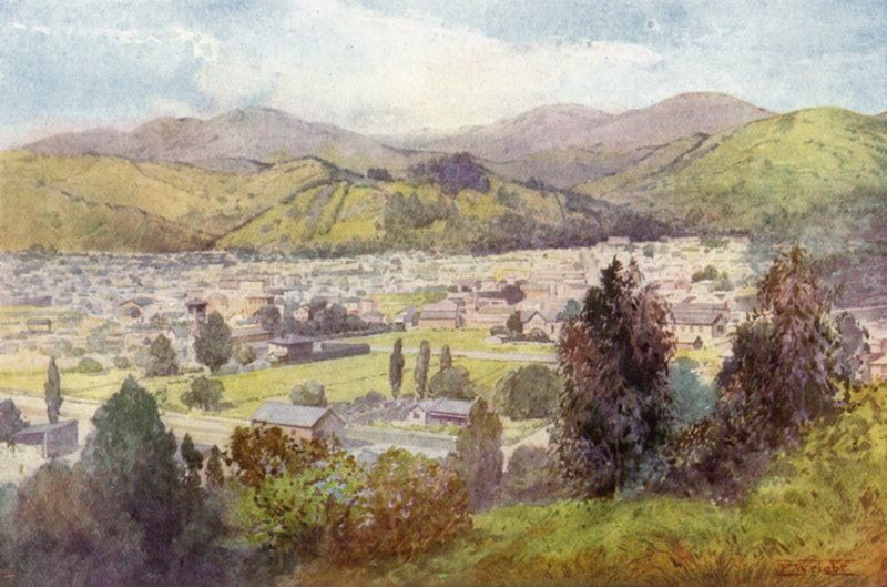 Nova Zelândia: Nelson (litografia a cores) de English School