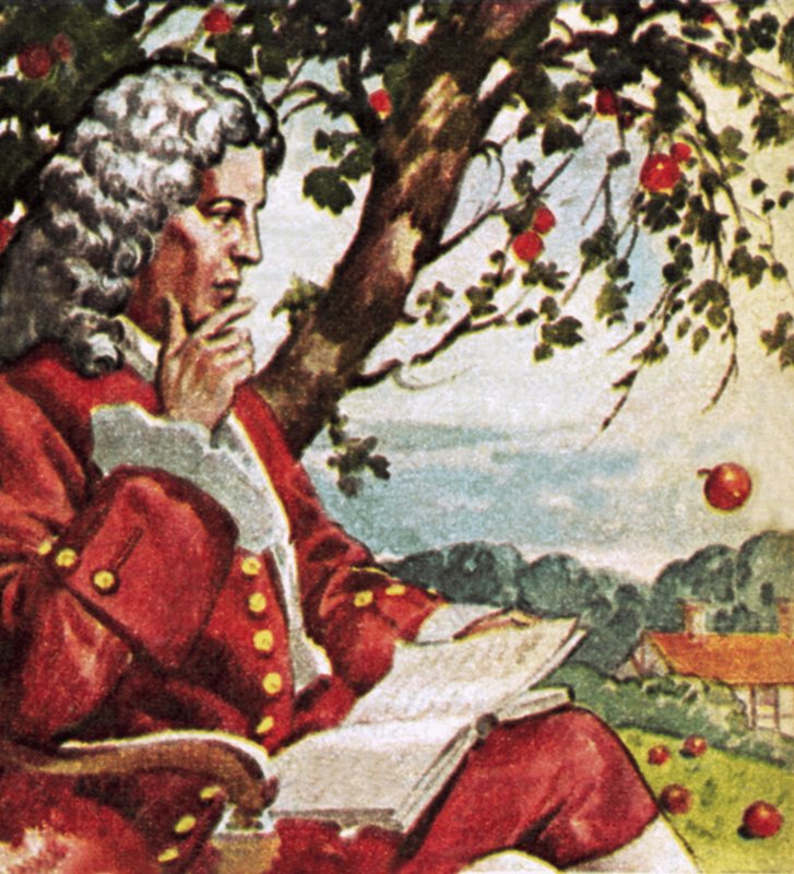 Newton assistindo maçãs cair de English School