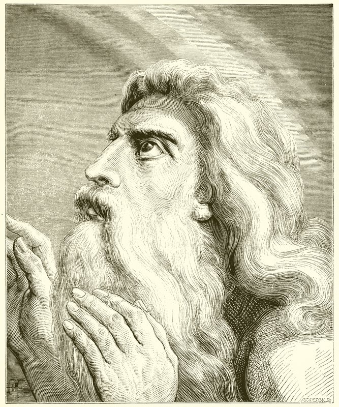 Noé de English School