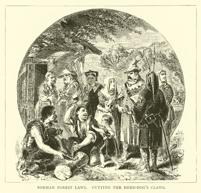 Norman leis florestais, cortando as garras de rebanho-cães de English School
