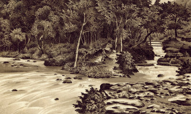Norte de Devon: "The Watersmeet", Lynmouth (litografia) de English School