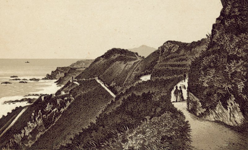 North Devon: Torrs Walks, olhando para leste (litografia) de English School