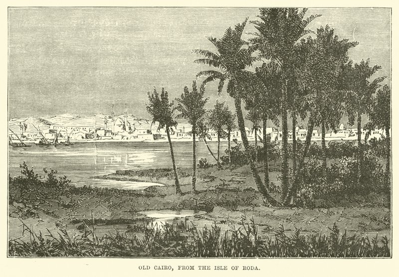 Cairo antigo, da ilha de Roda de English School