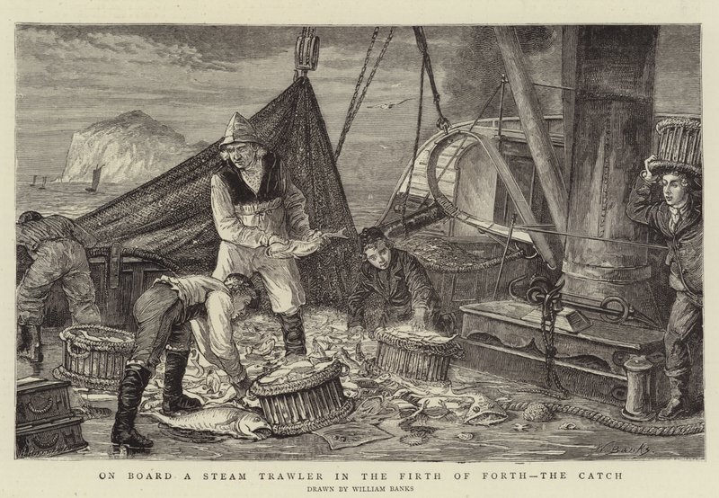 A bordo de uma traineira a vapor no Firth of Forth, o Catch de English School