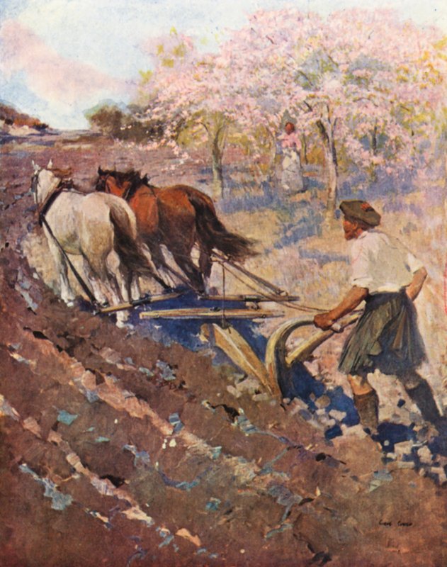 Ontário, um colono de Glengarry (litografia a cores) de English School