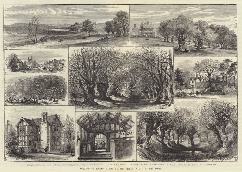 Abertura de Epping Forest pela Rainha, Views in the Forest (gravura) de English School