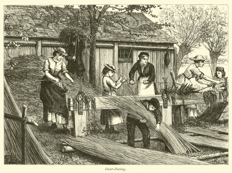 Wicker-Peeling de English School
