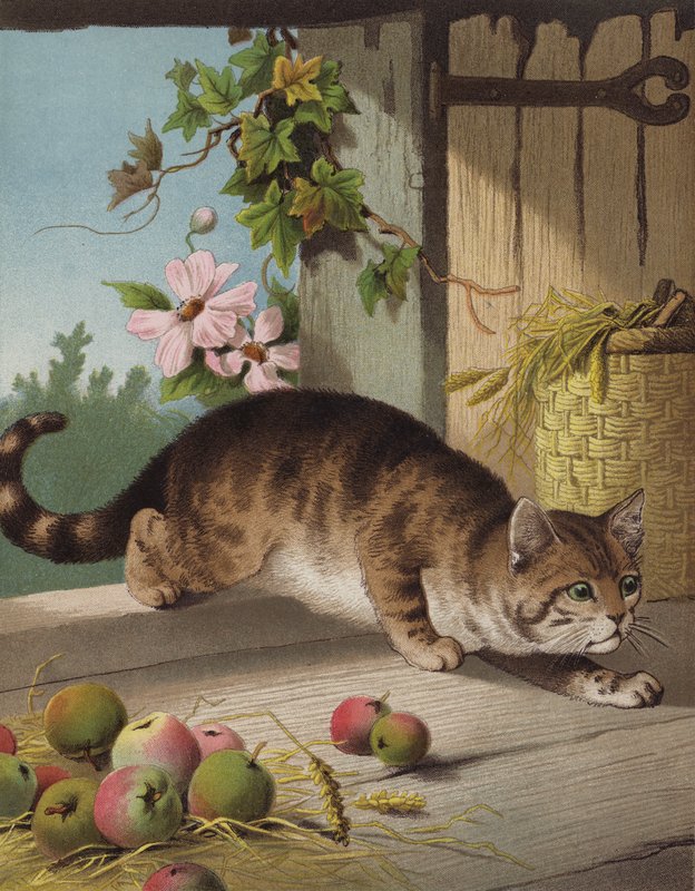 O nosso Tom (chromolitho) de English School