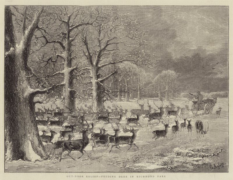 Relevo Out-Door, Alimentando Veados em Richmond Park (gravura) de English School