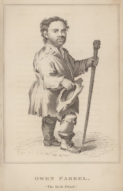 Owen Farrel, o anão irlandês de English School