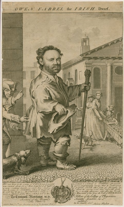 Owen Farrel, o anão irlandês de English School