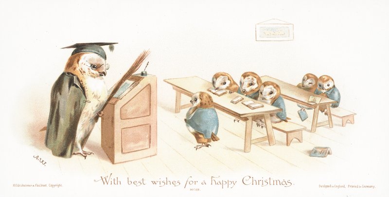 Coruja ensinando Owlets em sala de aula! Cartão de Natal de English School