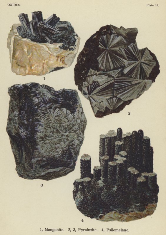 Óxidos, manganita, pirolusita, psilomelano (cor litho) de English School