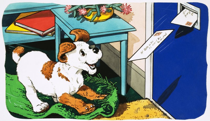 Paddy Paws de English School