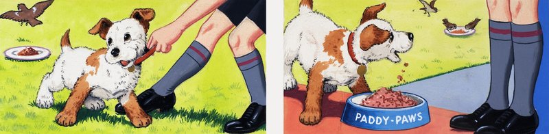 Paddy Paws de English School