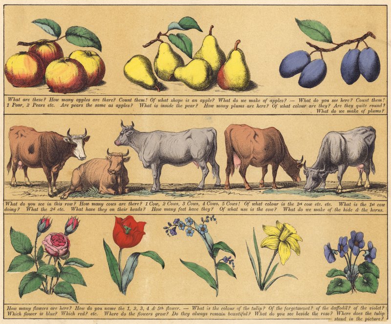 Página de The New Picture Book (litografia a cores) de English School