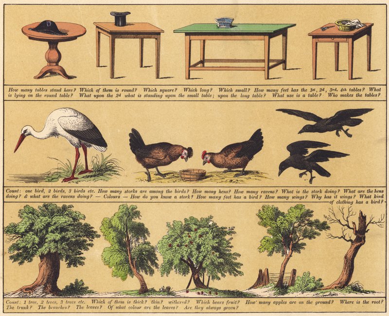 Página de The New Picture Book (litografia a cores) de English School