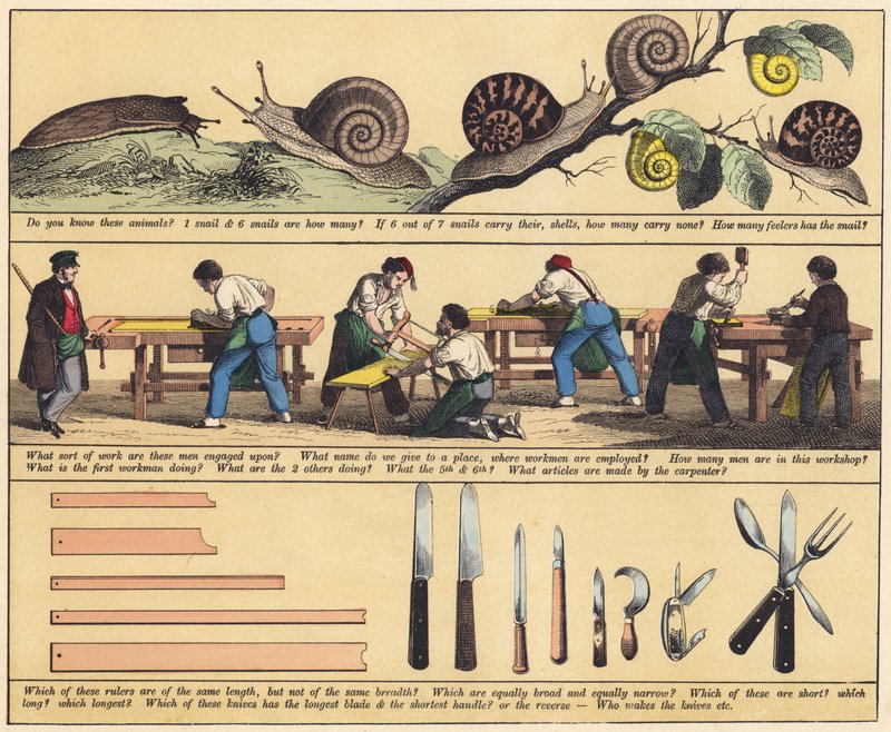 Página de The New Picture Book (litografia a cores) de English School