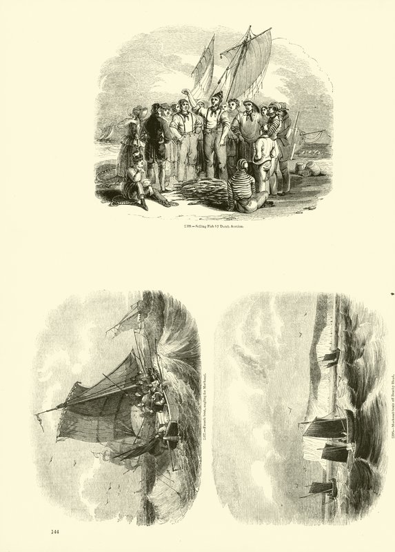 Página de The Pictorial Museum of Animated Nature de English School