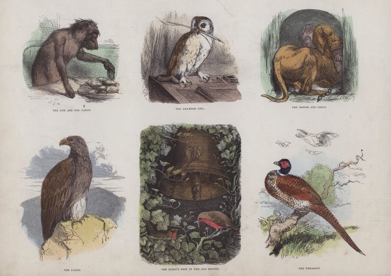 Página do Livro de Imagens Atraente (gravação a cores) de English School