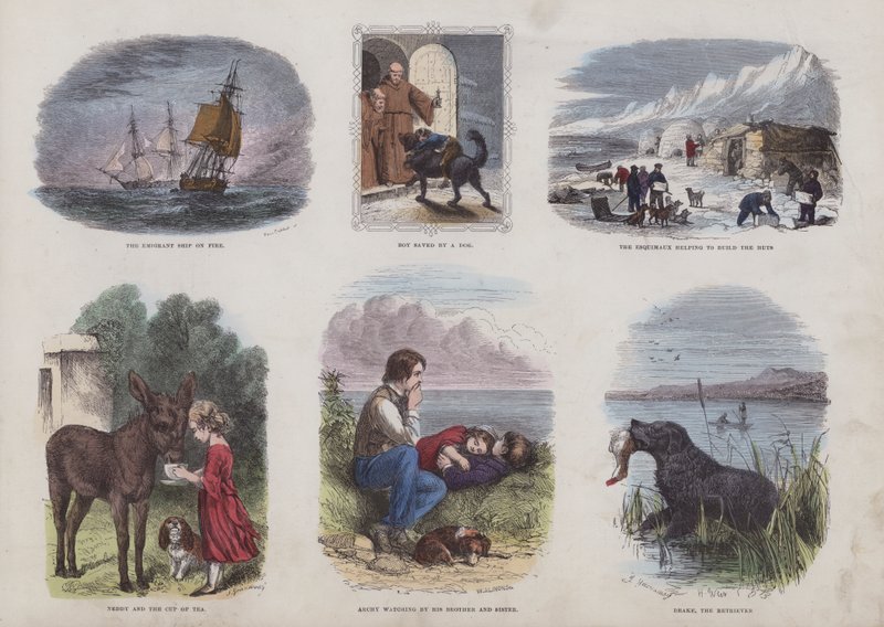 Página do Livro de Imagens Atraente (gravação a cores) de English School