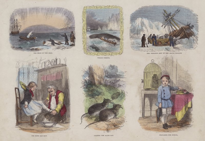 Página do Livro de Imagens Atraente (gravação a cores) de English School