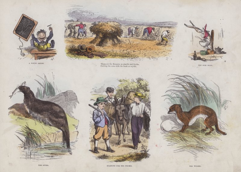 Página do Livro de Imagens Atraente (gravação a cores) de English School
