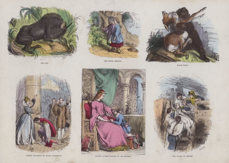 Página do Livro de Imagens Atraente (gravação a cores) de English School