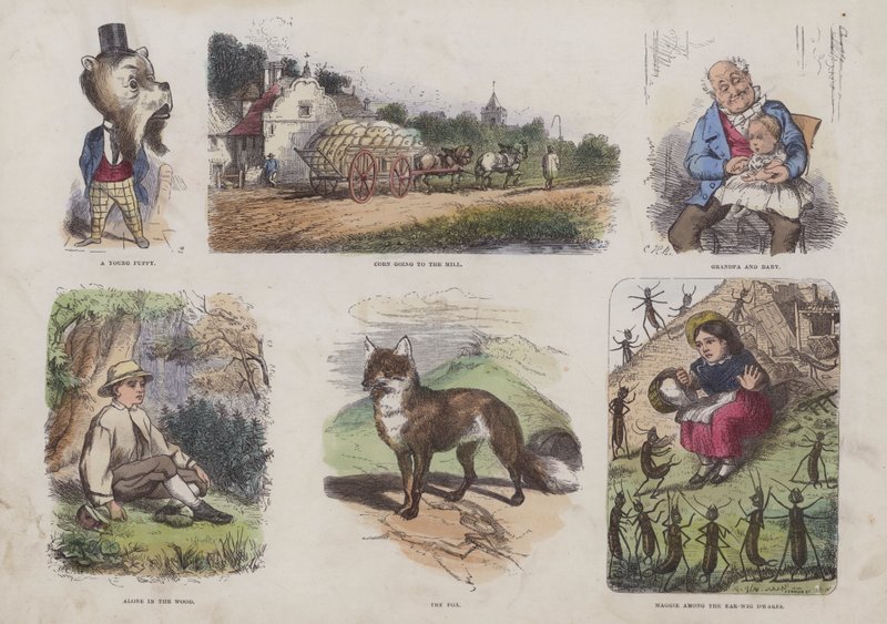 Página do Livro de Imagens Atraente (gravação a cores) de English School