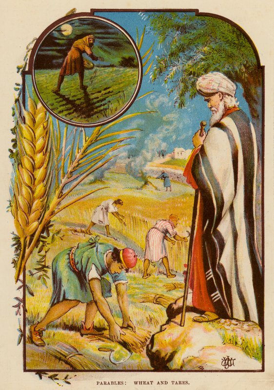 Parábolas, Trigo e Taras (cor litho) de English School