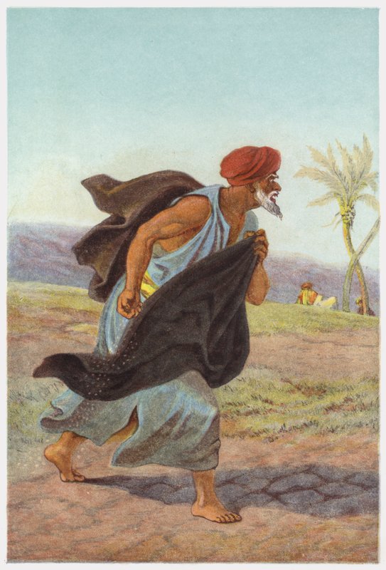 Parábolas de Jesus Cristo: Enemy Sowing Tares de English School