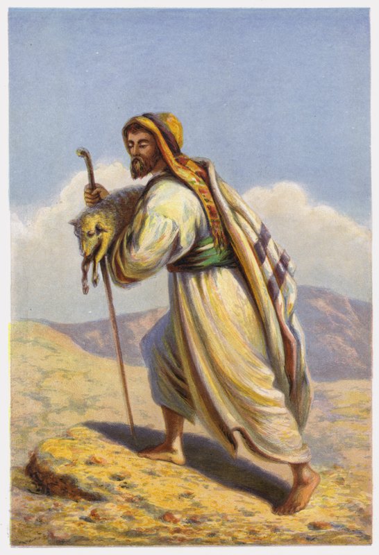 Parábolas de Jesus Cristo: ovelhas perdidas de English School