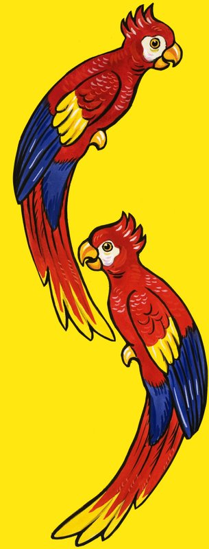 Papagaios de English School