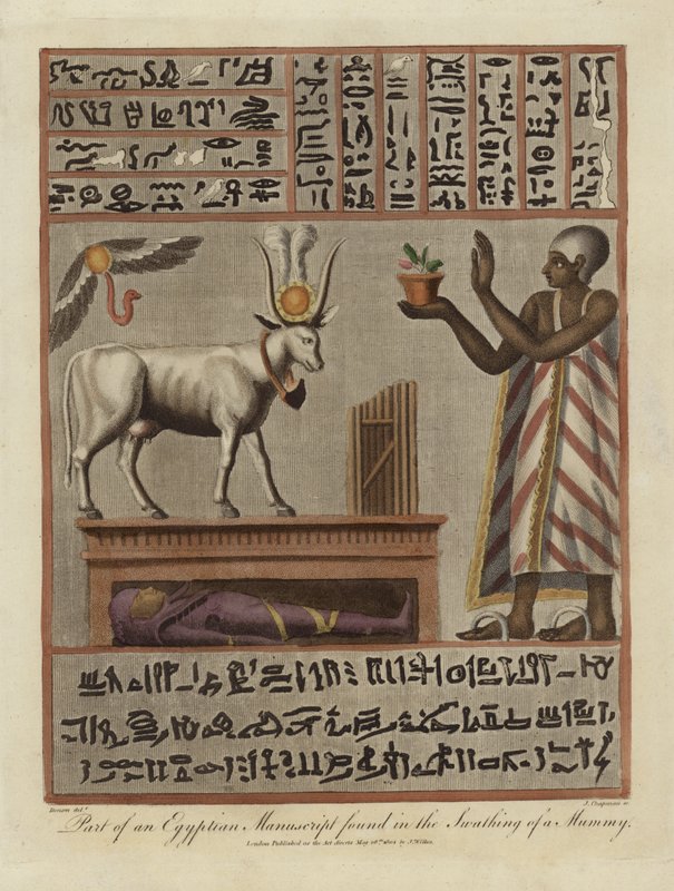 Parte de um manuscrito egípcio encontrado no Swathing of a Mummy de English School