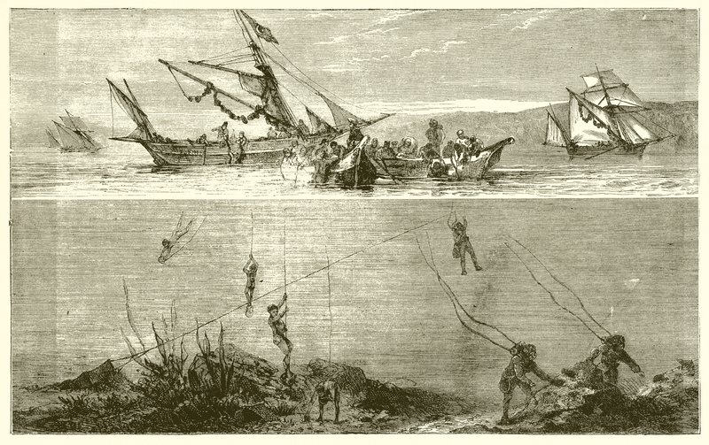Pesca de pérolas de English School
