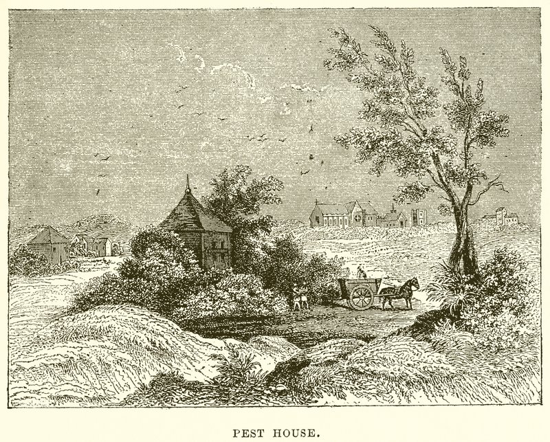 Casa de pragas de English School