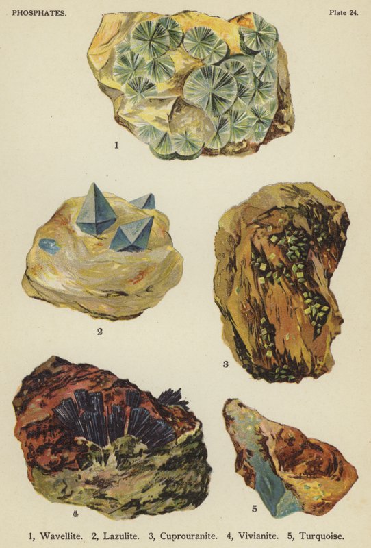 Fosfatos, wavellite, lazulite, cuprouranite, vivianite, turquesa (cor litho) de English School