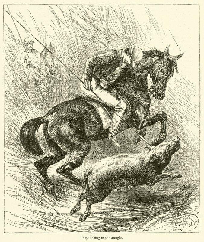 Pig-sticking in the Jungle (gravura) de English School