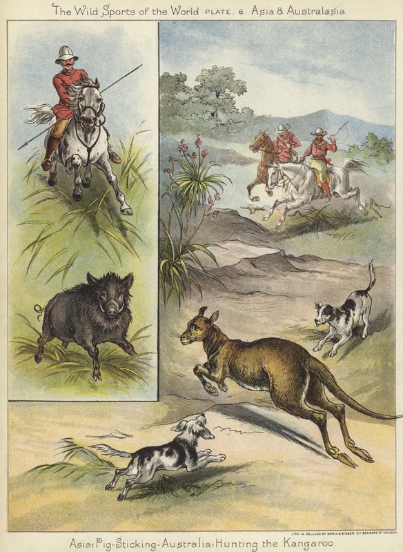 Porco Colante e Caça ao Canguru de English School