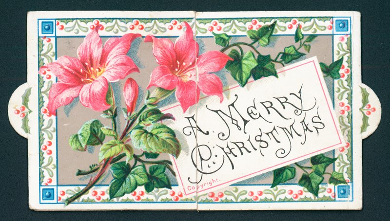 Lírios cor-de-rosa, cartão de Natal de English School
