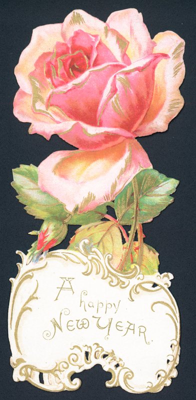 Rosa cor-de-rosa, cartão do ano novo de English School
