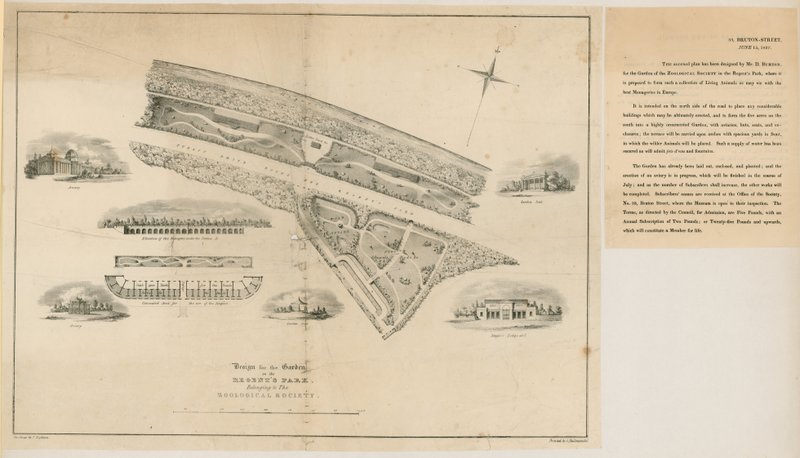 Plano para os jardins zoológicos, Regents Park, 1827 de English School