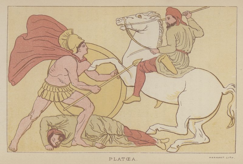Platoea (lito colorido) de English School